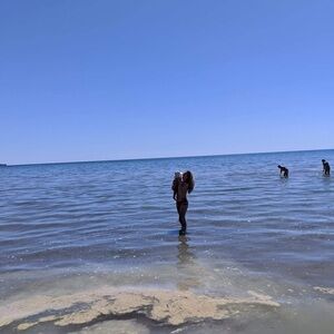 Meet your Posher, Kira